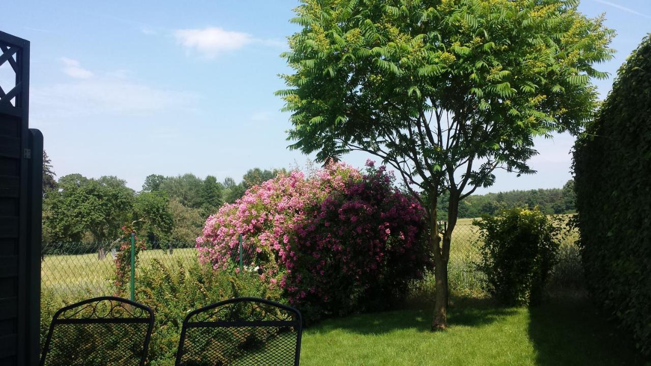 Penzion Na Lednické Hlohovec Exteriér fotografie